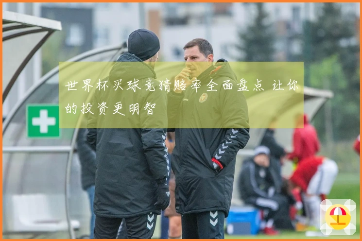 世界杯买球竞猜赔率全面盘点 让你的投资更明智
