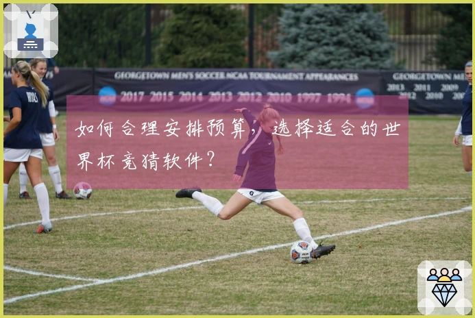如何合理安排预算，选择适合的世界杯竞猜软件？