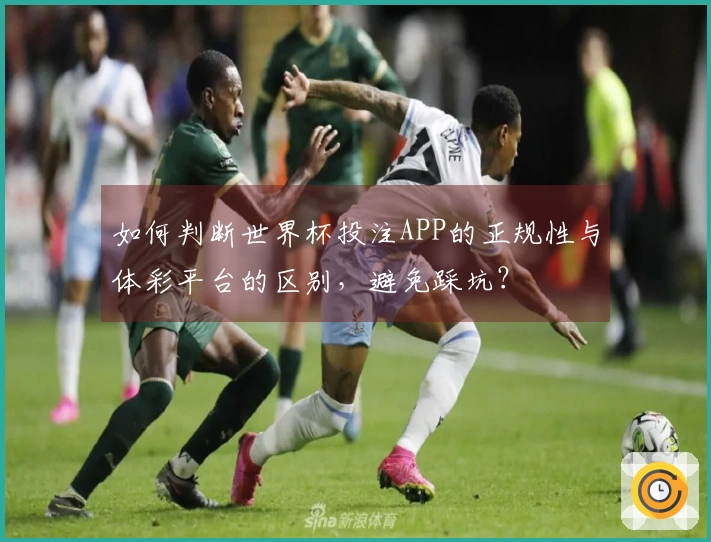 如何判断世界杯投注APP的正规性与体彩平台的区别，避免踩坑？