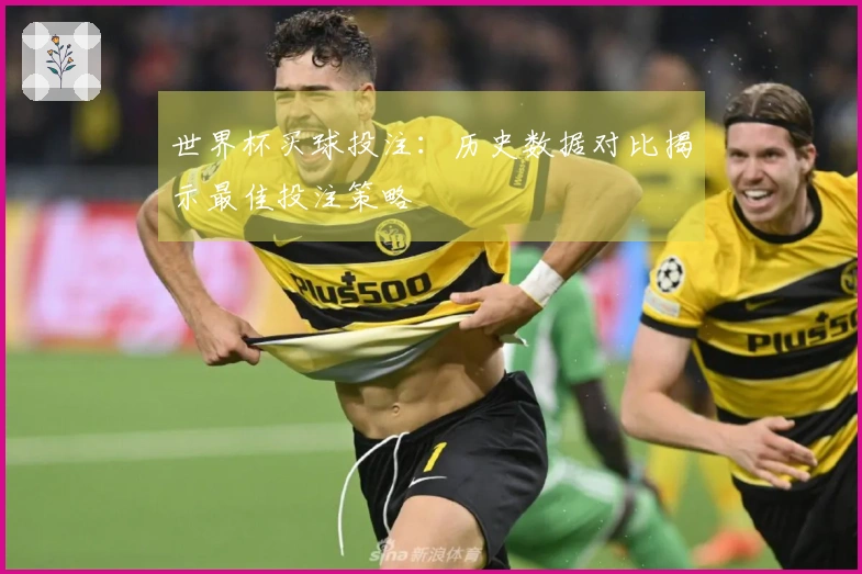 世界杯买球投注：历史数据对比揭示最佳投注策略