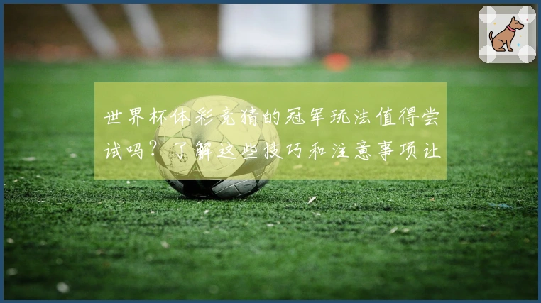 世界杯体彩竞猜的冠军玩法值得尝试吗？了解这些技巧和注意事项让你明智下注