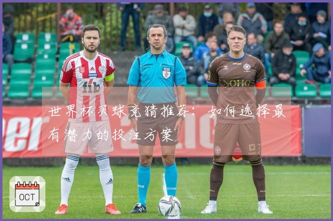 世界杯买球竞猜推荐:如何选择最有潜力的投注方案