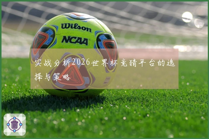 实战分析2026世界杯竞猜平台的选择与策略