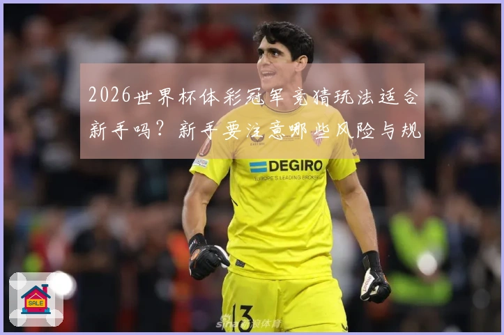 2026世界杯体彩冠军竞猜玩法适合新手吗？新手要注意哪些风险与规则