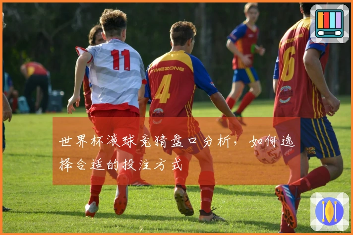 世界杯滚球竞猜盘口分析，如何选择合适的投注方式