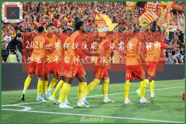 2026世界杯投注前，你需要了解哪些官方平台和识别技巧？