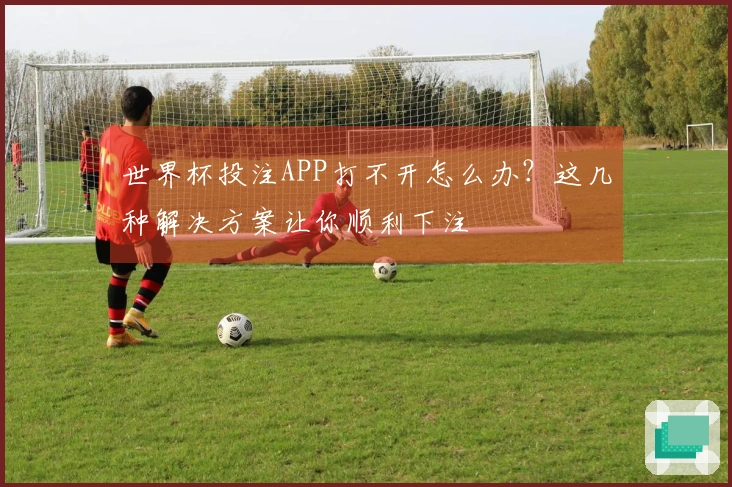 世界杯投注APP打不开怎么办？这几种解决方案让你顺利下注
