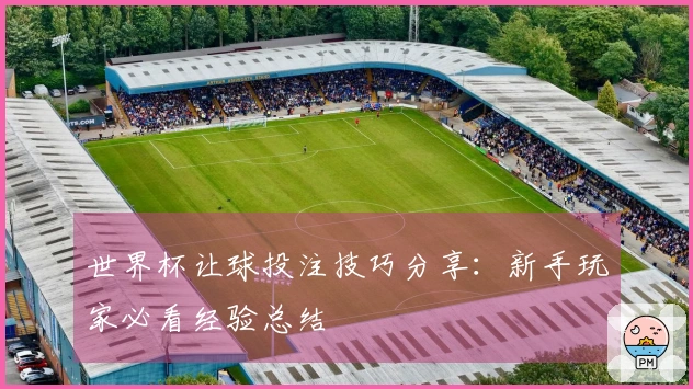 世界杯让球投注技巧分享：新手玩家必看经验总结