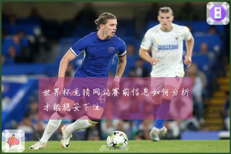 世界杯竞猜网站赛前信息如何分析才能稳妥下注