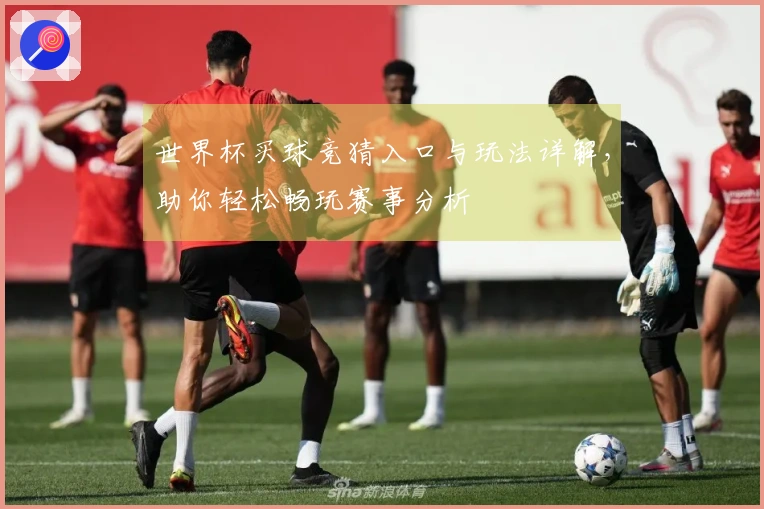 世界杯买球竞猜入口与玩法详解,助你轻松畅玩赛事分析