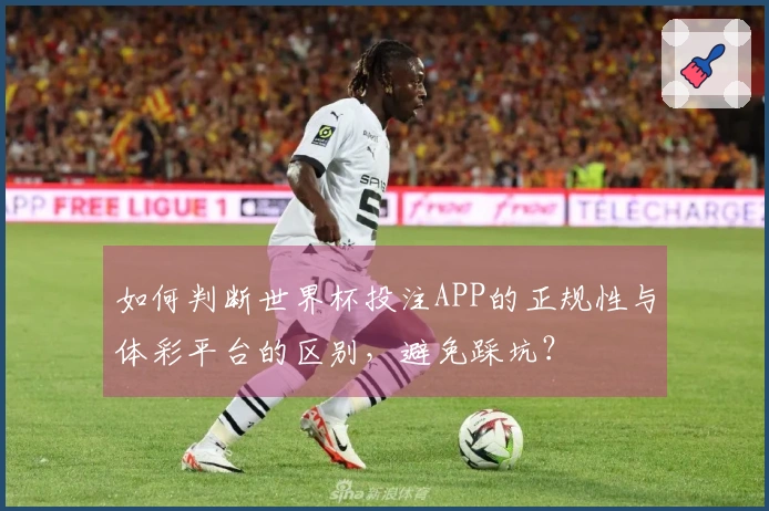 如何判断世界杯投注APP的正规性与体彩平台的区别，避免踩坑？