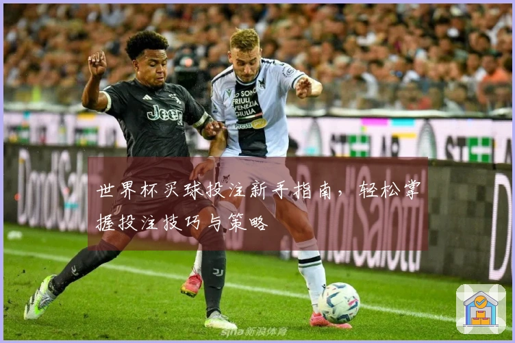 世界杯买球投注新手指南，轻松掌握投注技巧与策略